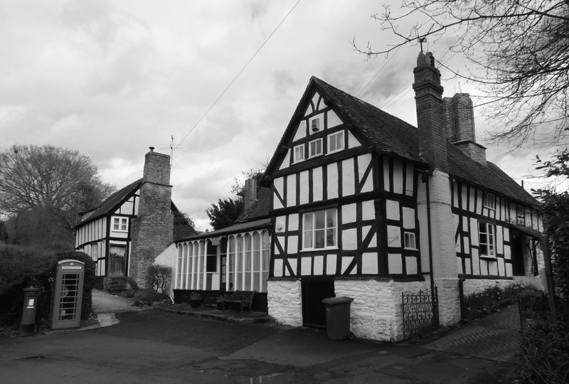 Timber Framed Surveys