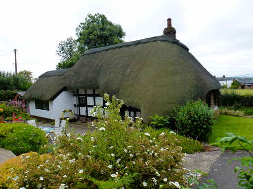 Thatched Cottage Survey