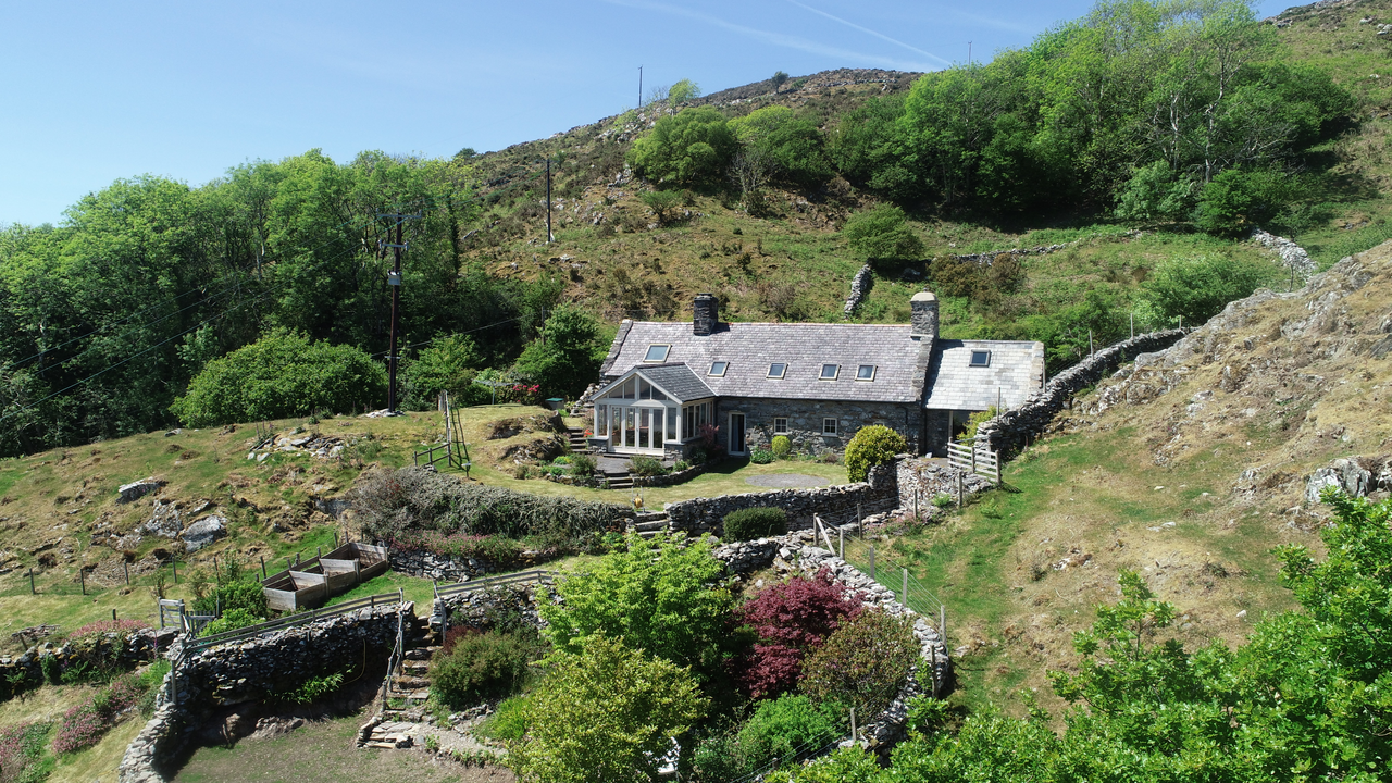 Thatched Cottage Survey
